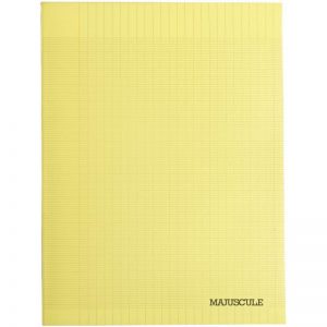 Cahier TP A4 Wiro 96P - Couverture Plastique 