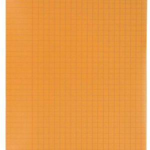 Cahier PP 96 pages A4 SEYES Jaune – Image 5