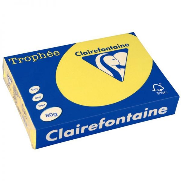 15853 - Ramette 500 feuilles 80g Clairefontaine Jaune Soleil Ramette A4 500 feuilles 80g Clairefontaine Vert Menthe – Image 6
