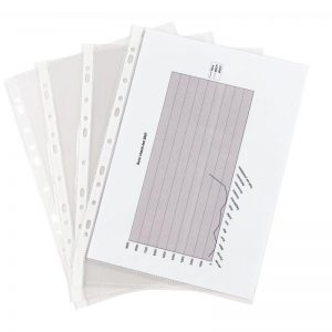 Sachet 100 Pochettes Perforées lisses Budget 7/100ème