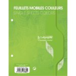 Sachet 50 feuilles mobiles perforées 17x22 cm Seyès 80g Vert