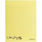 Cahier TP 96 pages 24 x 32 cm 72209