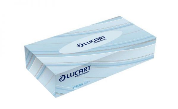 78756 - Boîte de 100 Mouchoirs 2 Plis Boîte de 100 Mouchoirs 2 Plis – Image 1