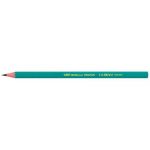 Boîte 12 Crayons Evolution HB Bic