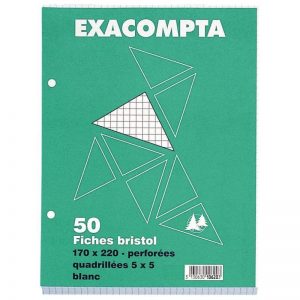 Paquet 50 Fiches Bristol Perforées 17 x 22 cm Petits Carreaux