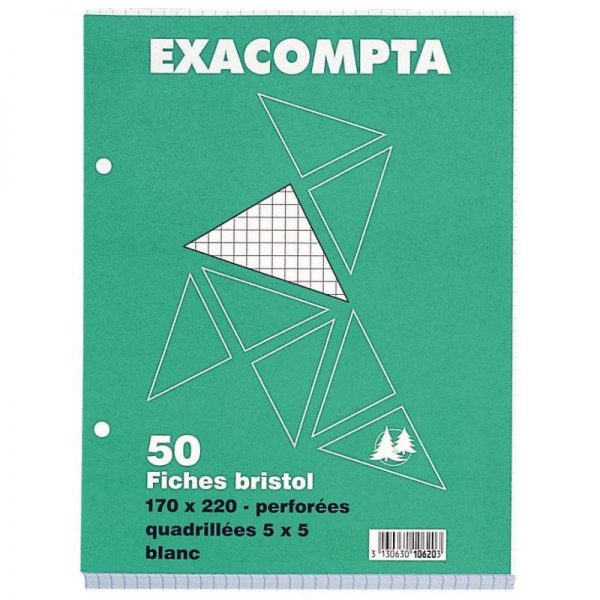 32054 Paquet 50 Fiches Bristol Perforées 17 x 22 cm Petits Carreaux – Image 1