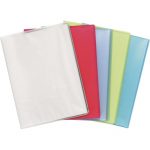 Protège Documents 200 Vues Exacompta Assortis